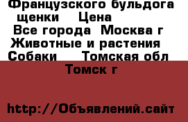 Французского бульдога щенки  › Цена ­ 35 000 - Все города, Москва г. Животные и растения » Собаки   . Томская обл.,Томск г.